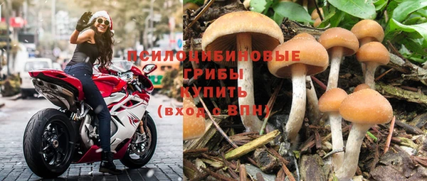таблы Алексин