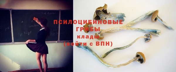 spice Алексеевка