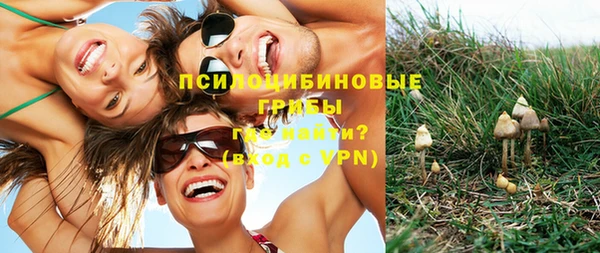 каннабис Алзамай