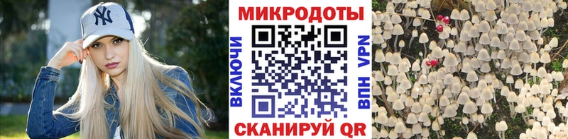 Галлюциногенные грибы MAGIC MUSHROOMS  Белоозёрский 